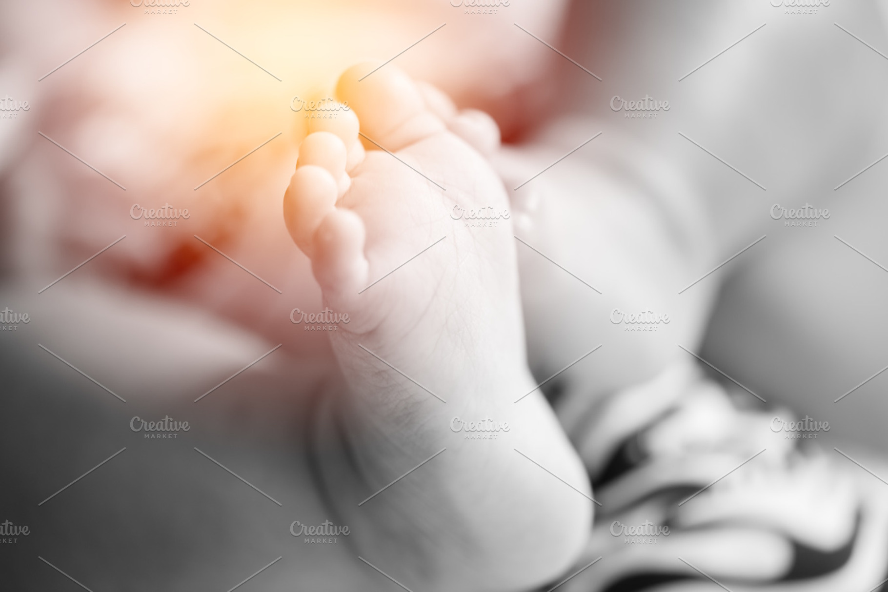 newborn baby, a Photo by Looker_Studio
