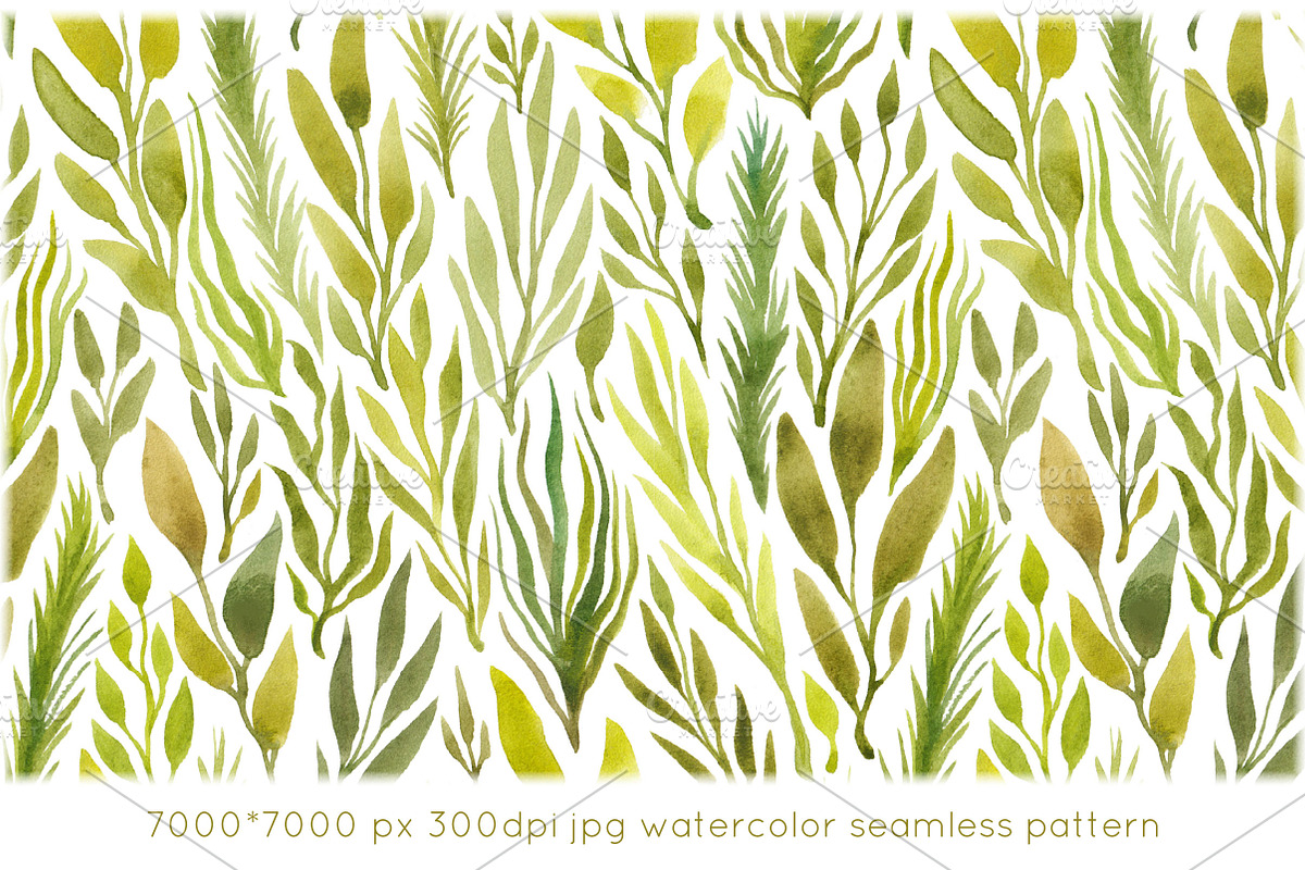 Watercolor herbs seamless pattern, a Pattern Graphic by IreneArt illustrations (Photo 2 of 5)