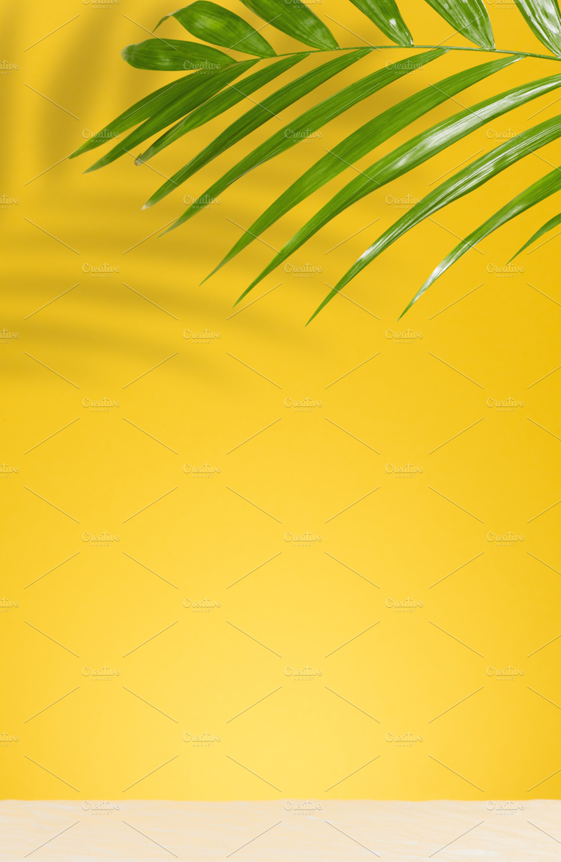 Bright yellow background with palm leaves and their shadows on t, a Background Photo by ndanko
