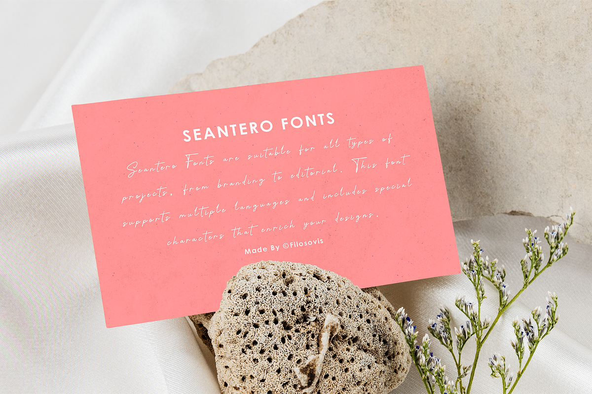 Seantero | Modern Script Font, a Script Font by filosovis (Photo 5 of 5)