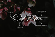 Senja script font, a Script Font by Emyself Design (Thumbnail 3 of 7)