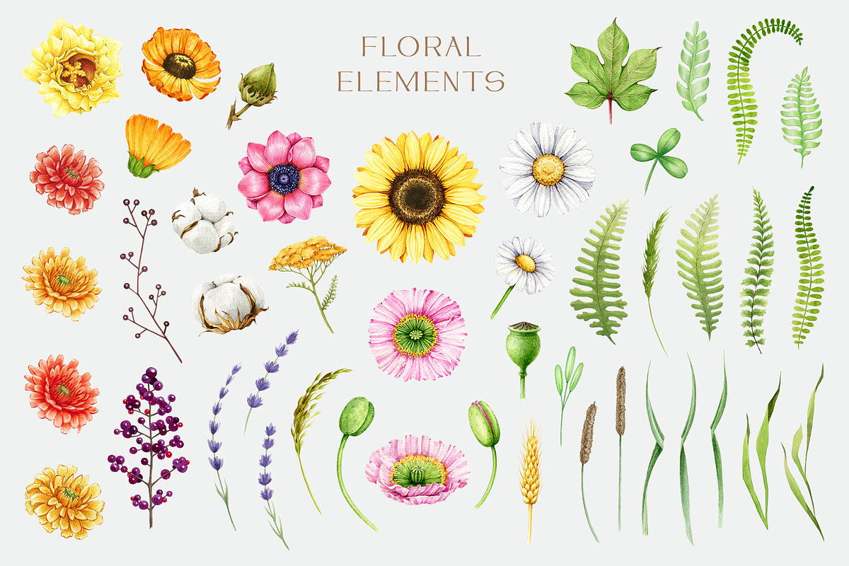 Farm Animals and Birds Clipart, an Animal Illustration by AnitaPol (Photo 14 of 19)