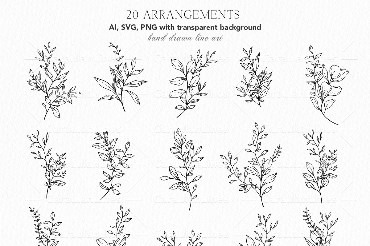 Greenery Line Art Collection, an Object Graphic by CaraulanStore (Photo 3 of 6)