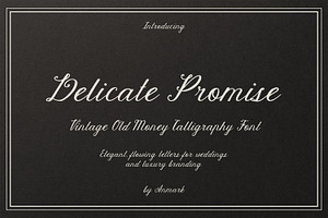 Delicate Promise | Vintage Script, a Script Font by AnMark