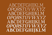 Cirvia Timeless & Fresh Serif Family, a Serif Font by Lettertype Studio (Thumbnail 13 of 15)