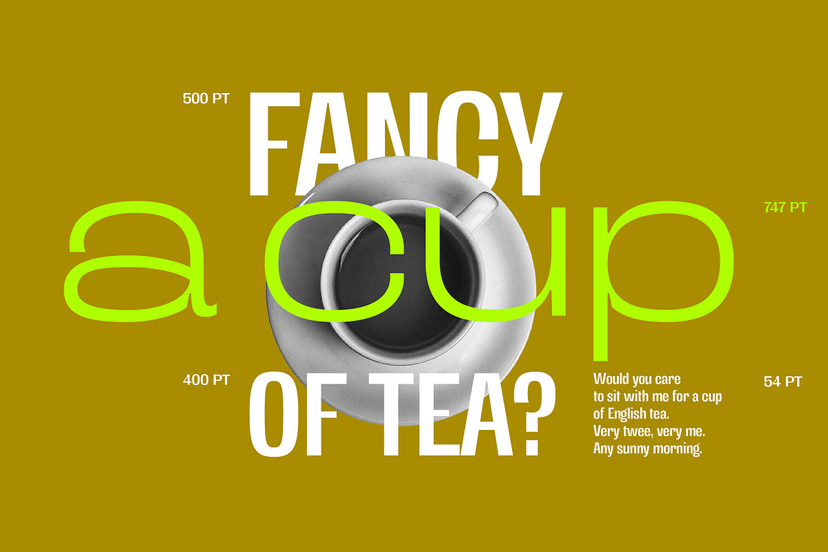 Antipoda, a Sans Serif Font by Sudtipos (Photo 3 of 11)