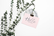 Frideswide Script, a Script Font by Asya Mix (Thumbnail 10 of 13)