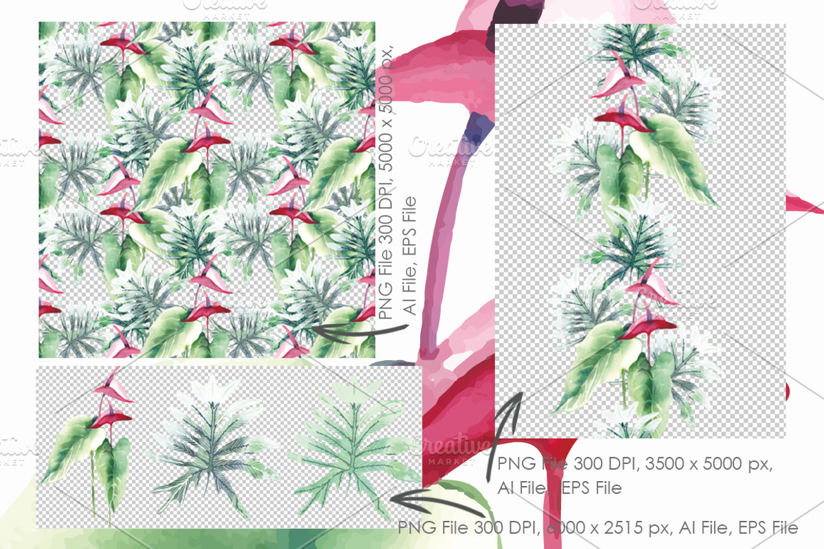 Exotic Plants  - Vector Set, a Decorative Illustration by Marina Grau (Photo 2 of 3)