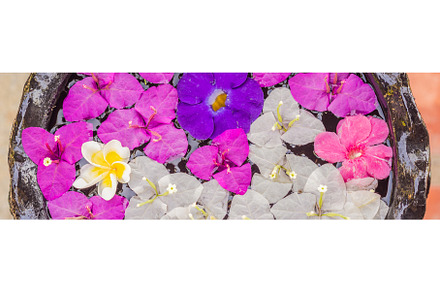 A pattern of flowers in a container, a Nature Photo by Elizaveta Galitskaya