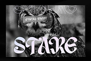 Guthen Delima - Display Typeface, a Symbol Font by ErgibiStudio (Thumbnail 9 of 10)