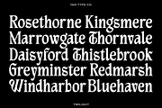 TAN - TWILIGHT, a Blackletter Font by TanType (Thumbnail 5 of 13)