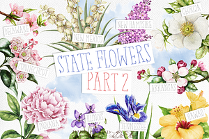 US State Flowers Part 2 Illustration