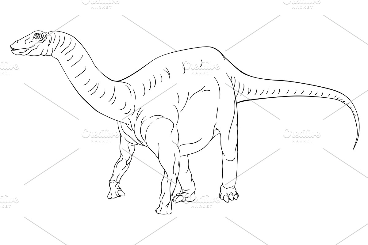 Dinosaur Diplodocus Brontosaurus, an Animal Illustration by Christos Georghiou