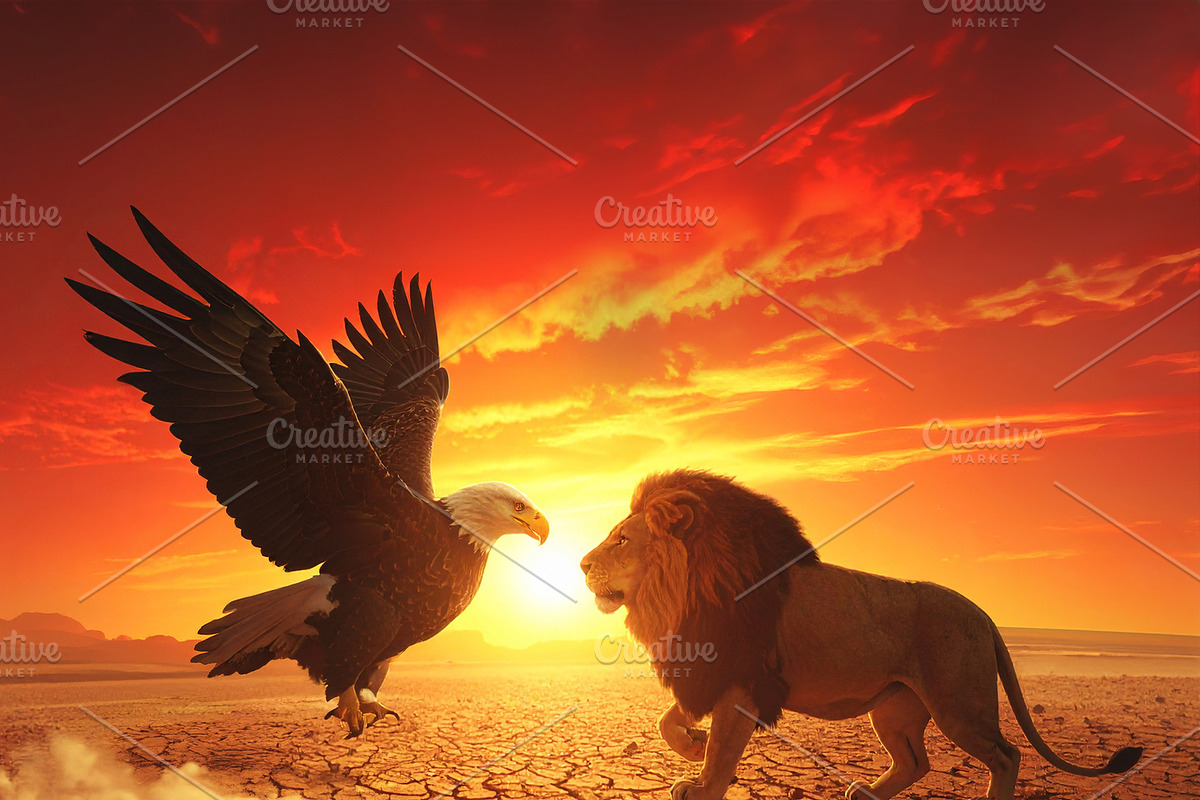 Epic confrontation of eagle and lion at sunset arid landscape, an Animal Illustration by DanFLCreativo