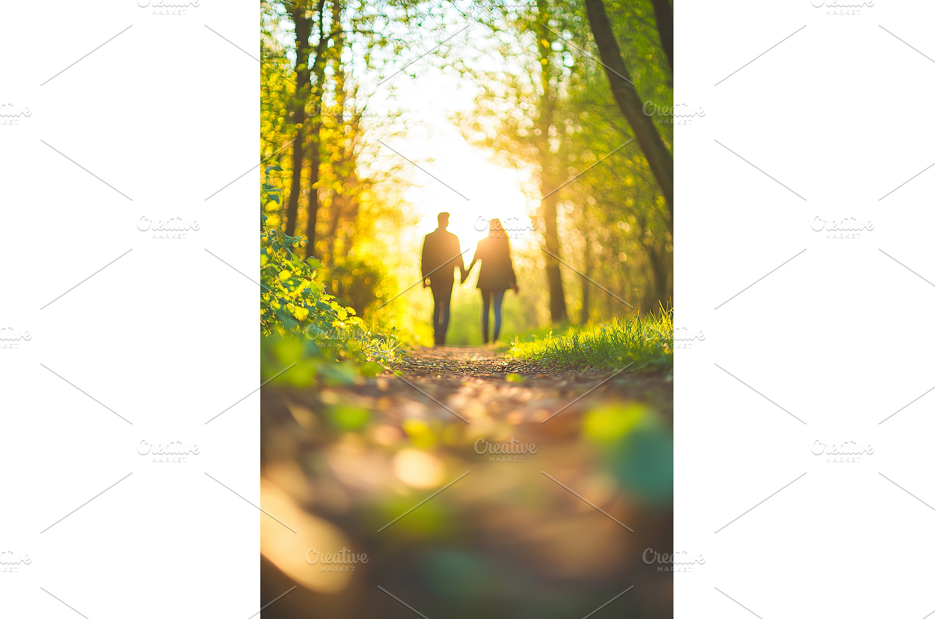 Couple walking in sunlit forest path, a Nature Photo by Lermont51