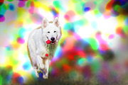 Precious Colors Photoshop Action, an Action Add-On by KiraYamato Design Studio (Thumbnail 16 of 18)