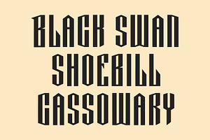 Movizt Blackletter Display Font