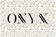 Kenjo Font Duo + Free Sans, a Sans Serif Font by Anthony James (Thumbnail 11 of 19)