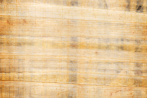 Papyrus Paper Background, a Background Photo by THP Creative
