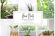 Living with Plants Photo Bundle, a Nature Photo by Wellness Stock Market (Thumbnail 1 of 11)