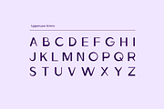 Ludeco Modern Display Font, a Sans Serif Font by Wild Ones (Thumbnail 2 of 11)