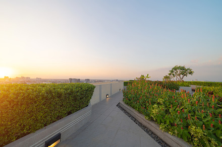 Sky garden on private rooftop of condominium or hotel, high rise, a Background Photo by Tampatra