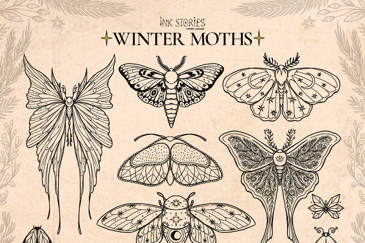 Winter Moths & Evergreen Botanicals, a Seasonal Illustration by Ink Stories (Photo 3 of 15)