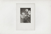 Vintage Scan Borders And Textures⸻2, a Texture Graphic by Studio Viita (Thumbnail 3 of 7)