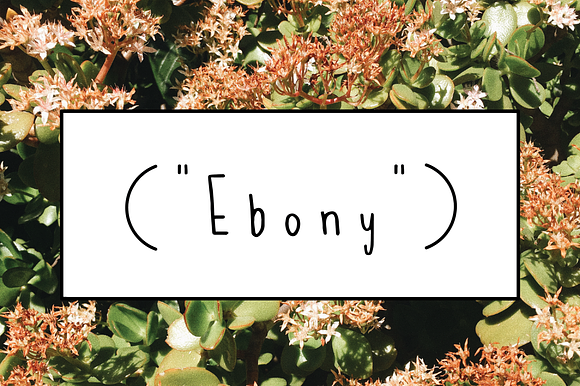 EBONY - a handwritten font preview 4