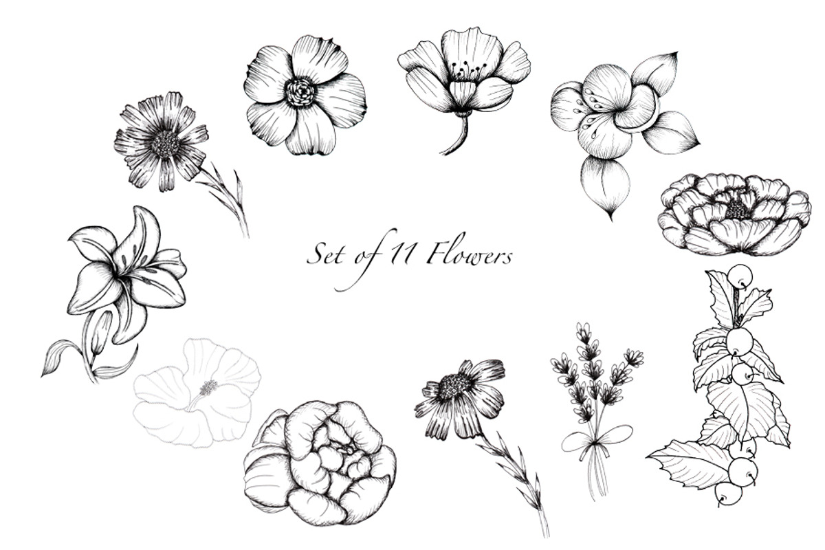 Black and White Botanical Collection, an Illustration by TanataDesign (Photo 2 of 8)