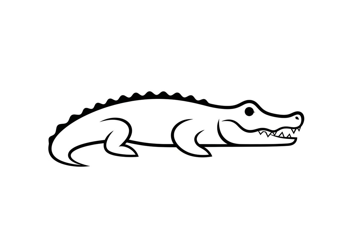 Crocodile Alligator Vector Bundle, an Illustration by jahid234 (Photo 16 of 51)