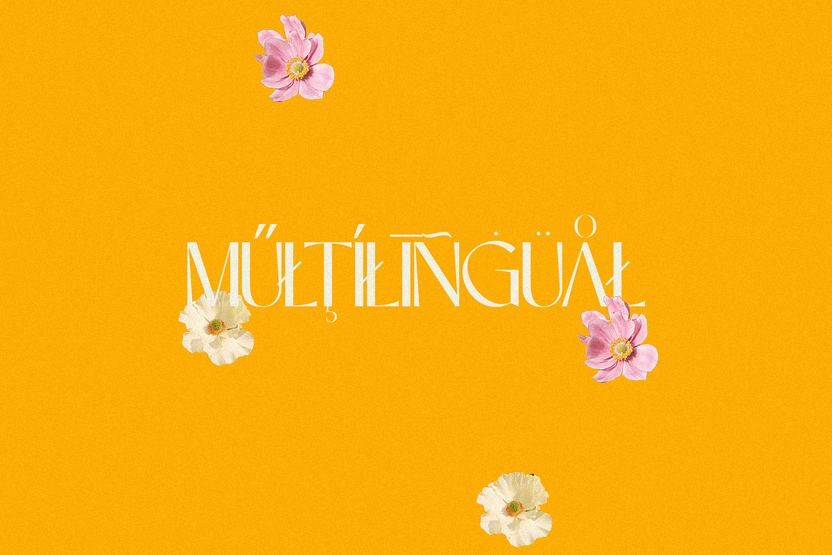 Anemone - Elegant & Modern Sans, a Sans Serif Font by Mikhail Kitsune (Photo 8 of 8)