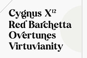 Cramble Modern Stylish Serif Font, a Serif Font by Letteralle Studios (Thumbnail 4 of 10)
