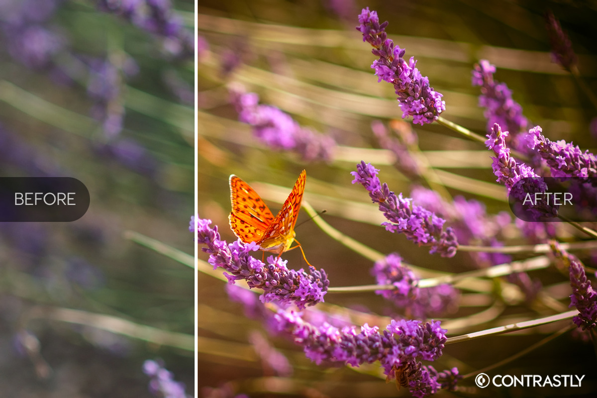 Lomography Lightroom Presets, a Plug-in Add-On by Contrastly Shop (Photo 3 of 4)