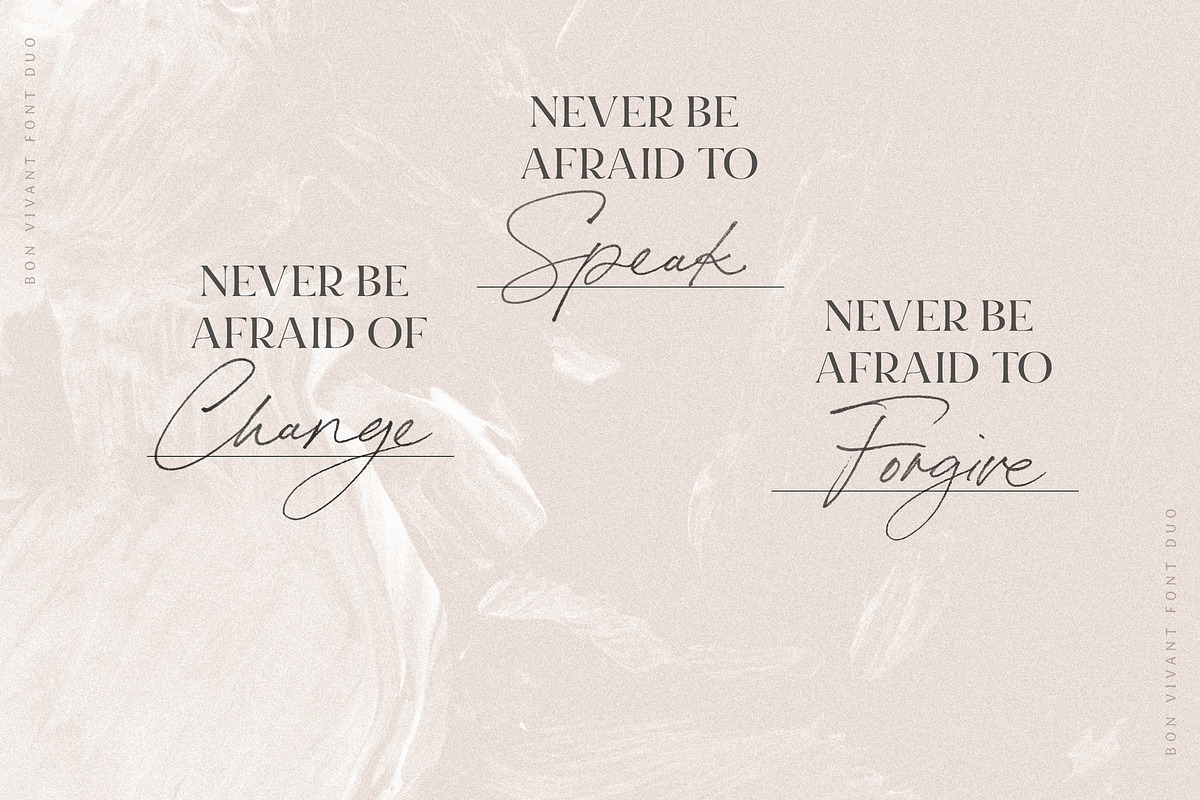 Bon Vivant Collection, a Serif Font by Nicky Laatz (Photo 8 of 44)