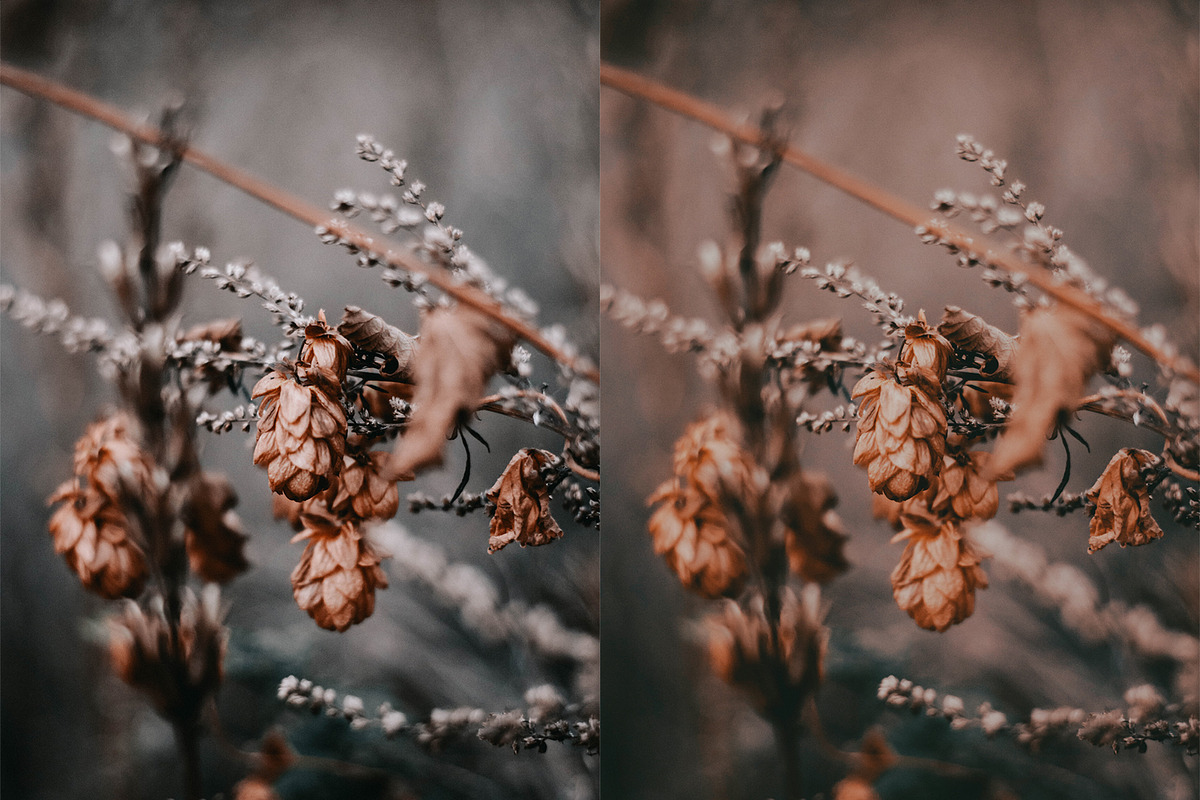 Fall - Autmun Photoshop Actions, an Action Add-On by Bato (Photo 8 of 10)