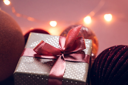 Christmas Present - Burgundy | Pink