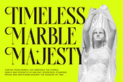 Antique Orchad Hybrid Serif Font, a Serif Font by timelesstype.co (Thumbnail 14 of 20)