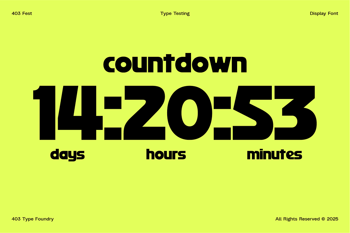 403 FEST, a Sans Serif Font by 403 Type Foundry (Photo 6 of 16)