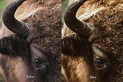 30 Countryside Lightroom Bundle, a Preset Add-On by 3Motional (Thumbnail 10 of 11)