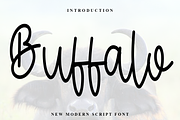 Buffalo, a Handwritten Font by FreshTypeINK (Thumbnail 1 of 5)