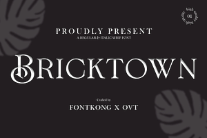 Bricktown-Regular&Italic Serif Font