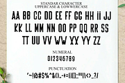 Notebook, a Script Font by FreshTypeINK (Thumbnail 3 of 8)