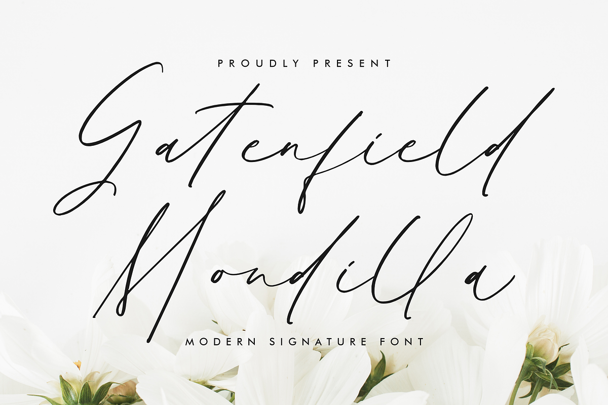 Gatenfield Mondilla Modern Signature, a Script Font by Storytype Studio (Photo 1 of 15)