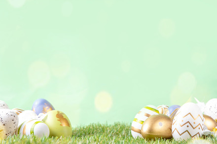 Easter egg grass background, a Holiday Photo by Rimma