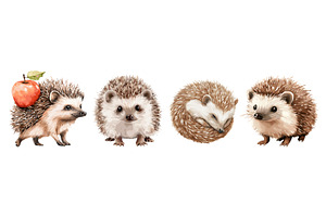 Cute aquarelle hedgehog set. Little, an Animal Illustration by Valerie Bodnar