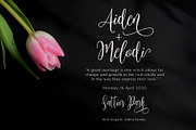 Mariposa Script Calligraphy, a Script Font by Rocket Template (Thumbnail 3 of 15)