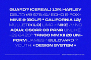 GROZEN MEDICAL - Extended Grotesk, a Sans Serif Font by Bring To Type (Thumbnail 4 of 11)
