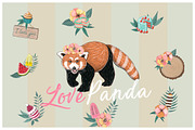 Red panda & Toucan collection, an Animal Illustration by Isbela  (Thumbnail 3 of 5)