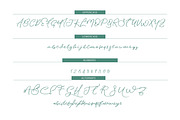 Waterlife, a Script Font by Design Dukkan (Thumbnail 8 of 8)